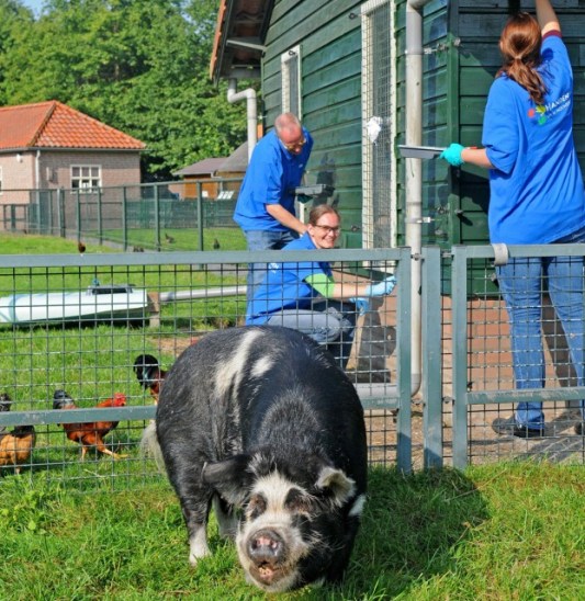 handen uit de mouwen
