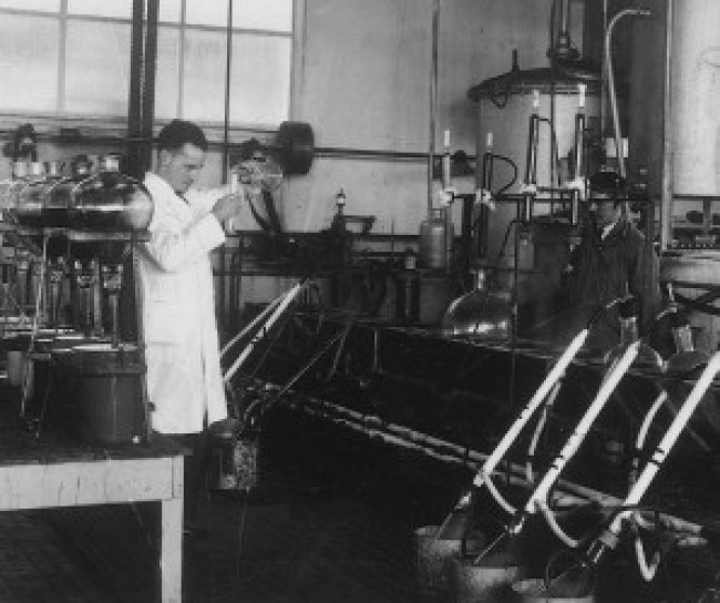 mengvoeders, MSD Nederland, 1949 geschiedenis