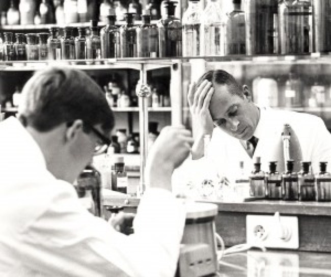 geschiedenis van de pil, MSD geschiedenis