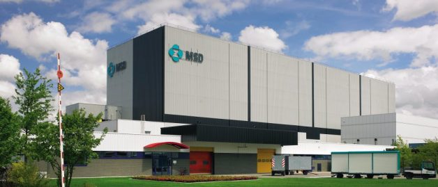 Haarlem_Hoogbouw-1-1024x694